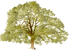Alley's Tree Service logo